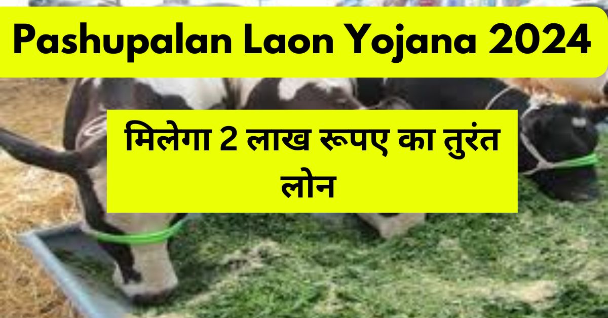 Pashupalan Laon Yojana 2024